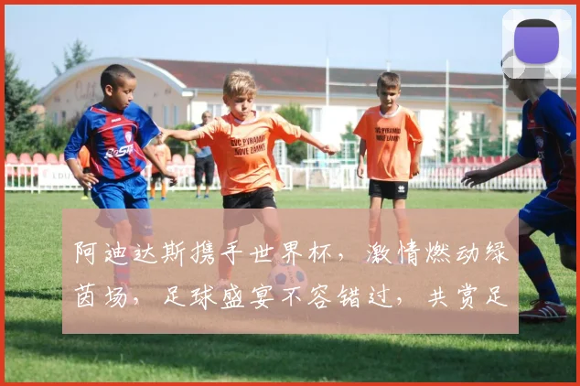阿迪达斯携手世界杯，激情燃动绿茵场，足球盛宴不容错过，共赏足球魅力