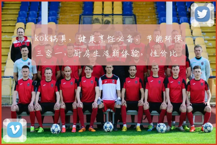 kok锅具，健康烹饪必备，节能环保三合一，厨房生活新体验，性价比之选
