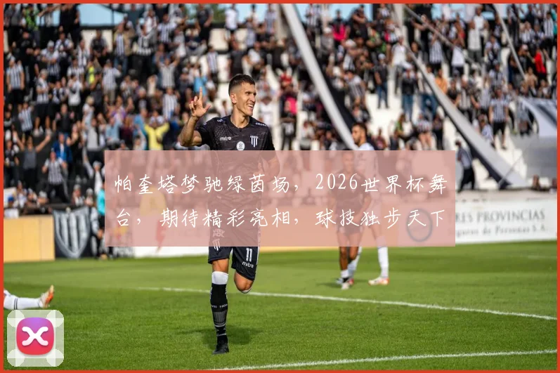 帕奎塔梦驰绿茵场，2026世界杯舞台，期待精彩亮相，球技独步天下