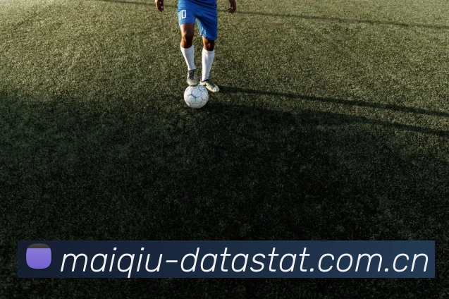 买球新盘口APP 封面图